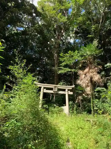 浅間神社の鳥居