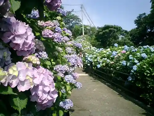 成就院の景色