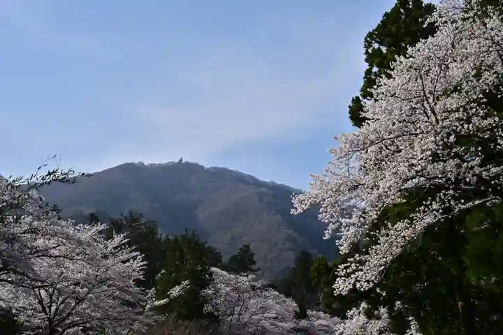 彌彦神社(新潟県)