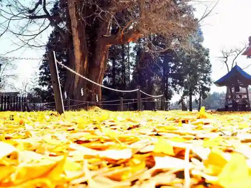 新宮熊野神社のその他建物