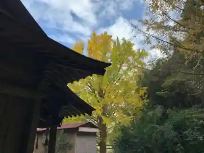 松尾神社の自然