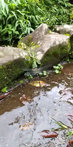 深大寺(東京都)