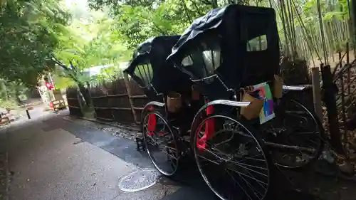 野宮神社(京都府)