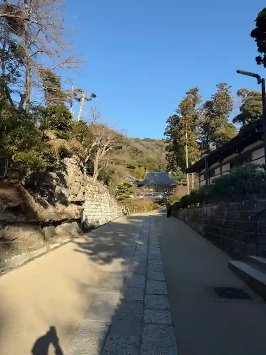 円覚寺の{uncategorized: "未分類", other: "その他", undefined: "問題あり", building: "その他建物", grave: "お墓", sacred_gate: "鳥居", guardian: "狛犬", statue: "像", buddha: "仏像", history: "歴史", nature: "自然", garden: "庭園", animal: "動物", pagoda: "塔", temizu: "手水舎", mountain_gate: "山門・神門", sanctuary: "本殿・本堂", subordinate: "末社・摂社", art: "芸術", scenery: "景色", jizo: "地蔵", ema: "絵馬", goshuin: "御朱印", omikuji: "おみくじ", items: "授与品その他", amulet: "お守り", goshuincho: "御朱印帳", eats: "食事", festival: "お祭り", votive_dance: "神楽", shichigosan: "七五三参", wedding: "結婚式", experience: "体験その他", initially: "初詣", around: "周辺", anti_infection: "感染症対策"}