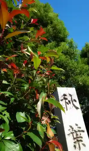 秋葉神社のその他建物