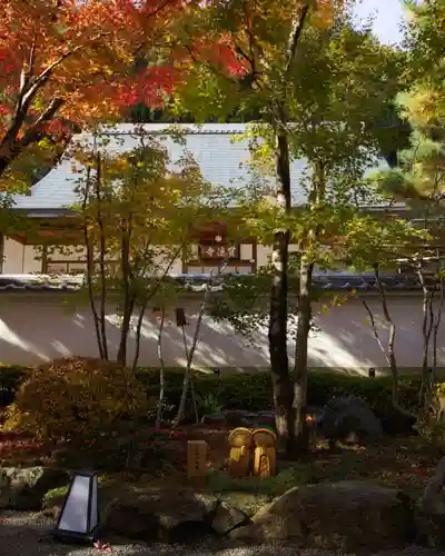 宝徳寺(群馬県)