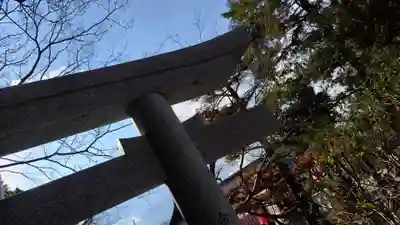 出雲大神宮(京都府)