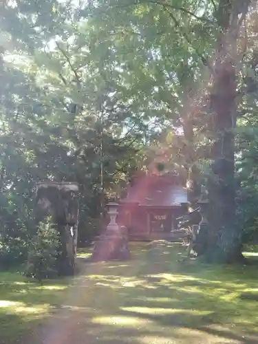 子安神社の自然