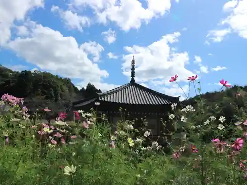 安倍文殊院 の景色