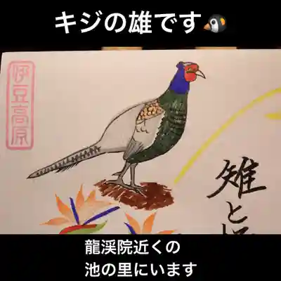 キジちゃん∧( 'Θ' )∧