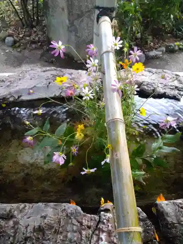 阿智神社の手水