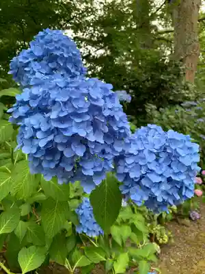 石都々古和気神社(福島県)
