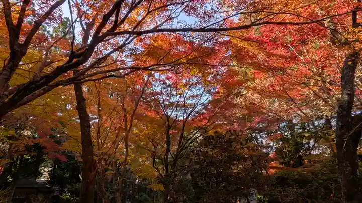 常照寺(京都府)