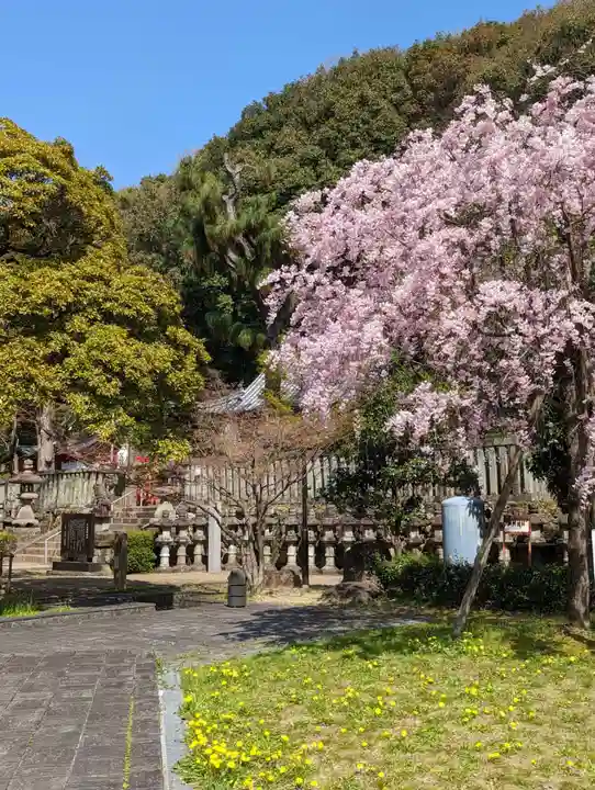 橿森神社の自然