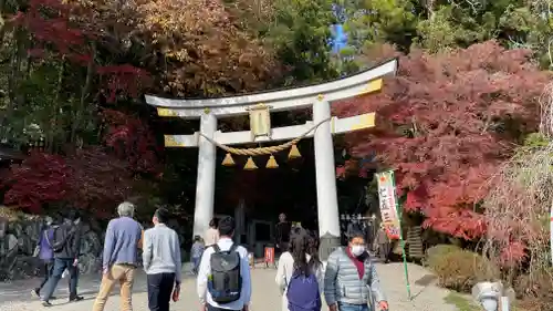 宝登山神社の鳥居