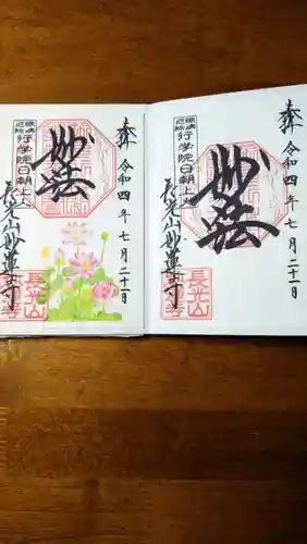 妙蓮寺の御朱印