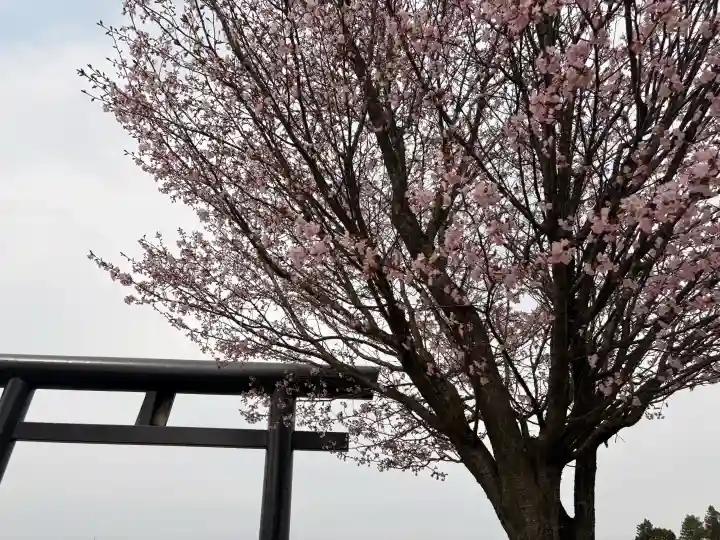 古四王神社の{uncategorized: "未分類", other: "その他", undefined: "問題あり", building: "その他建物", grave: "お墓", sacred_gate: "鳥居", guardian: "狛犬", statue: "像", buddha: "仏像", history: "歴史", nature: "自然", garden: "庭園", animal: "動物", pagoda: "塔", temizu: "手水舎", mountain_gate: "山門・神門", sanctuary: "本殿・本堂", subordinate: "末社・摂社", art: "芸術", scenery: "景色", jizo: "地蔵", ema: "絵馬", goshuin: "御朱印", omikuji: "おみくじ", items: "授与品その他", amulet: "お守り", goshuincho: "御朱印帳", eats: "食事", festival: "お祭り", votive_dance: "神楽", shichigosan: "七五三参", wedding: "結婚式", experience: "体験その他", initially: "初詣", around: "周辺", anti_infection: "感染症対策"}