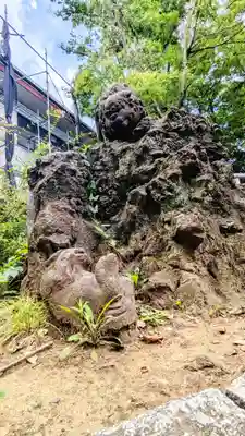 今井神社の狛犬