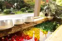 温泉山 安楽寺(四国霊場第六番札所)の手水舎