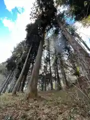 大宮温泉神社の自然