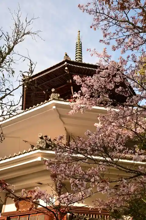 金峯山寺(奈良県)