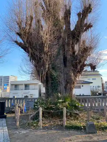 前橋八幡宮(群馬県)