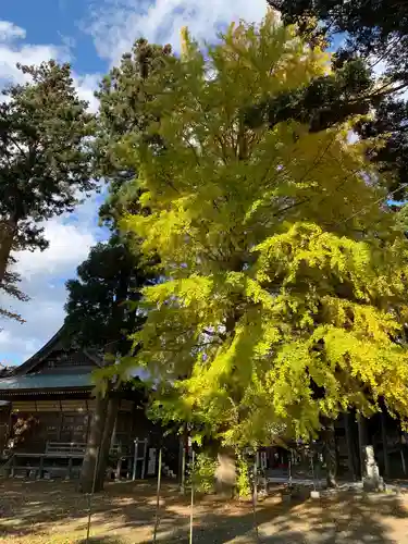 大宮神社の自然
