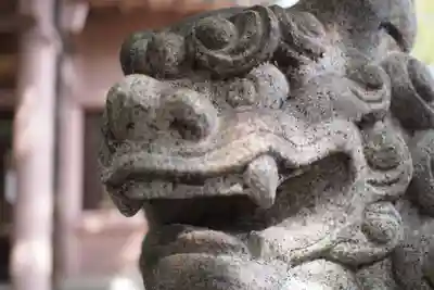 刺田比古神社の狛犬