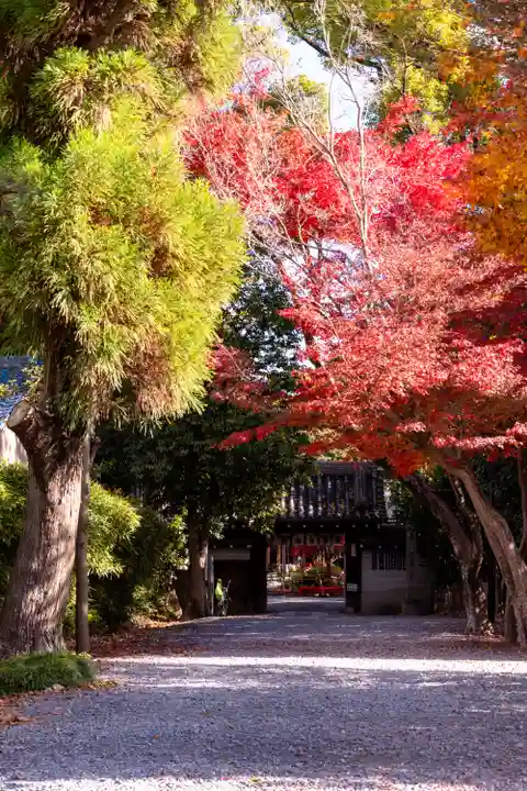 水無瀬神宮(大阪府)