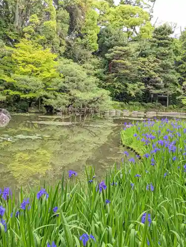 平安神宮の庭園