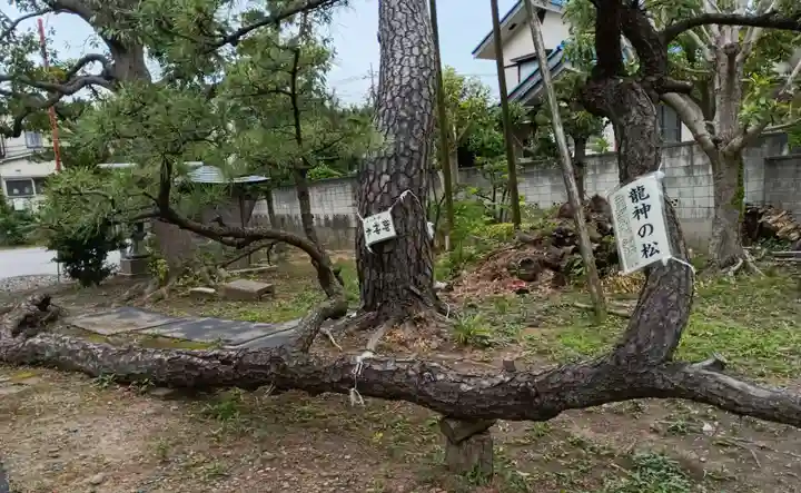 西小松川天祖神社(東京都)