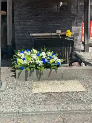 上尾御嶽神社の手水舎