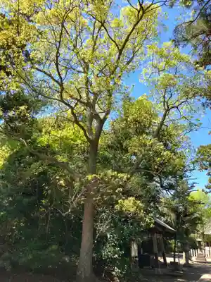 諏訪大神(千葉県)
