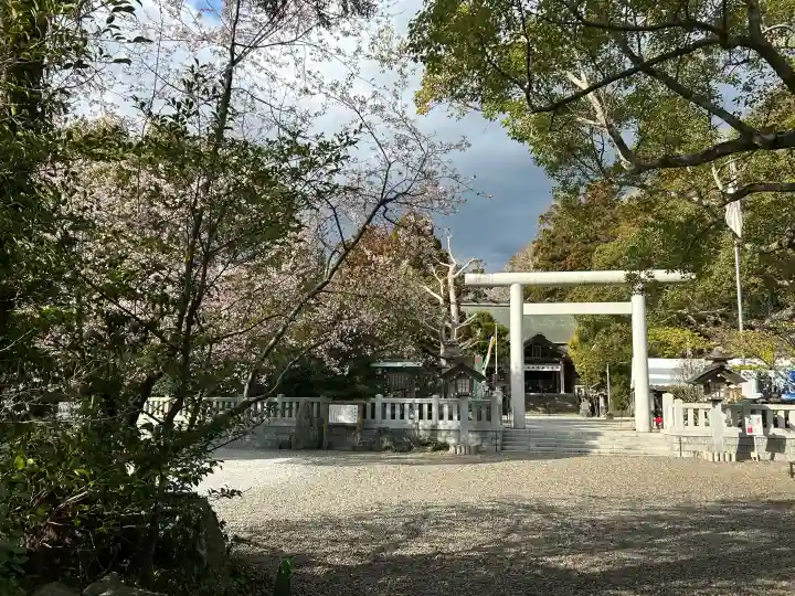 天津神明宮の{uncategorized: "未分類", other: "その他", undefined: "問題あり", building: "その他建物", grave: "お墓", sacred_gate: "鳥居", guardian: "狛犬", statue: "像", buddha: "仏像", history: "歴史", nature: "自然", garden: "庭園", animal: "動物", pagoda: "塔", temizu: "手水舎", mountain_gate: "山門・神門", sanctuary: "本殿・本堂", subordinate: "末社・摂社", art: "芸術", scenery: "景色", jizo: "地蔵", ema: "絵馬", goshuin: "御朱印", omikuji: "おみくじ", items: "授与品その他", amulet: "お守り", goshuincho: "御朱印帳", eats: "食事", festival: "お祭り", votive_dance: "神楽", shichigosan: "七五三参", wedding: "結婚式", experience: "体験その他", initially: "初詣", around: "周辺", anti_infection: "感染症対策"}