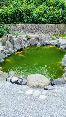 白金氷川神社の動物