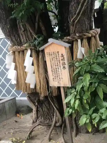 櫛田神社の自然