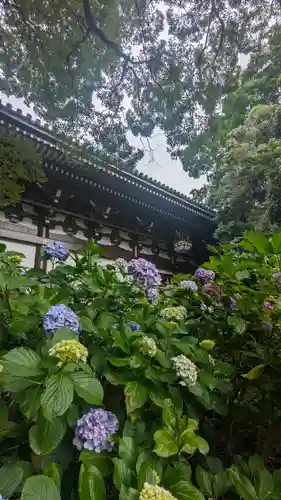  智積院(京都府)
