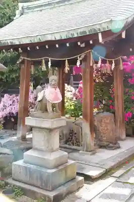 富士浅間神社の狛犬
