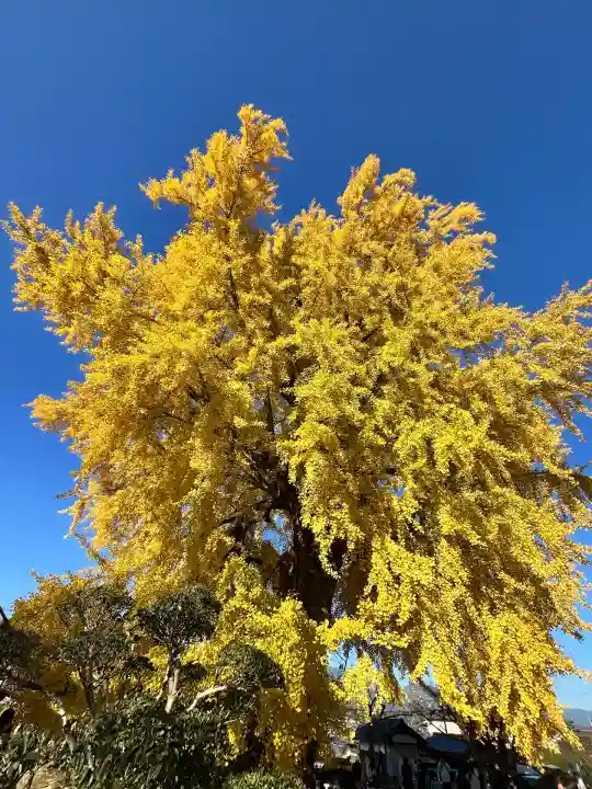 丹生酒殿神社(和歌山県)