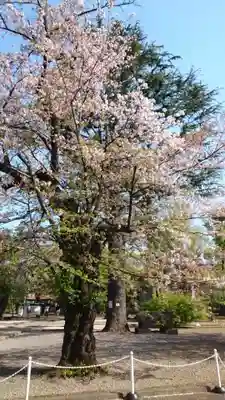 寛永寺(根本中堂)(東京都)