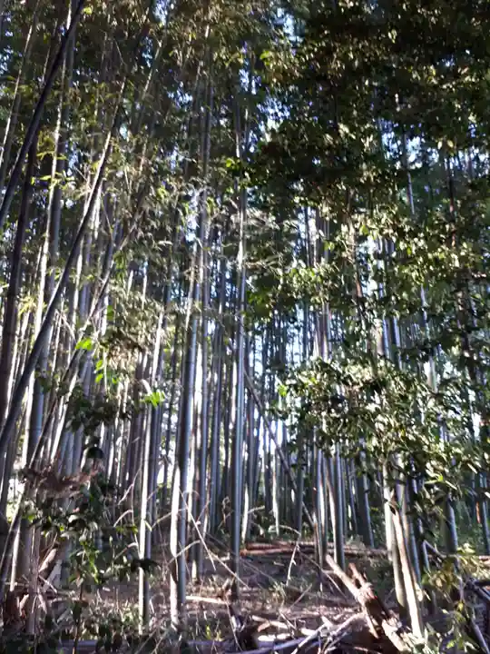 前玉神社の周辺