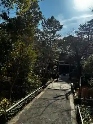 宮山神社の{uncategorized: "未分類", other: "その他", undefined: "問題あり", building: "その他建物", grave: "お墓", sacred_gate: "鳥居", guardian: "狛犬", statue: "像", buddha: "仏像", history: "歴史", nature: "自然", garden: "庭園", animal: "動物", pagoda: "塔", temizu: "手水舎", mountain_gate: "山門・神門", sanctuary: "本殿・本堂", subordinate: "末社・摂社", art: "芸術", scenery: "景色", jizo: "地蔵", ema: "絵馬", goshuin: "御朱印", omikuji: "おみくじ", items: "授与品その他", amulet: "お守り", goshuincho: "御朱印帳", eats: "食事", festival: "お祭り", votive_dance: "神楽", shichigosan: "七五三参", wedding: "結婚式", experience: "体験その他", initially: "初詣", around: "周辺", anti_infection: "感染症対策"}