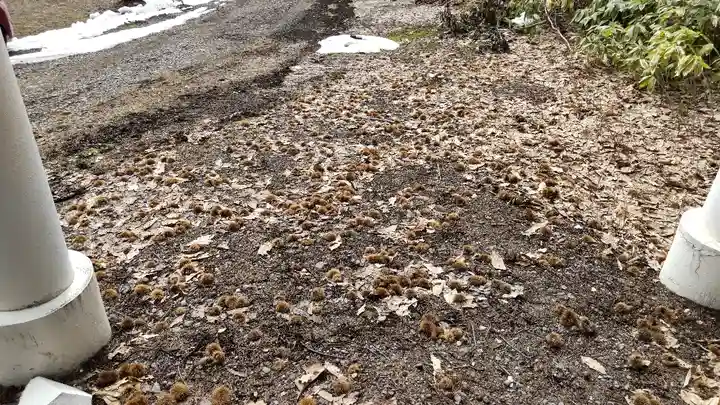 忠栄金刀比羅神社(北海道)