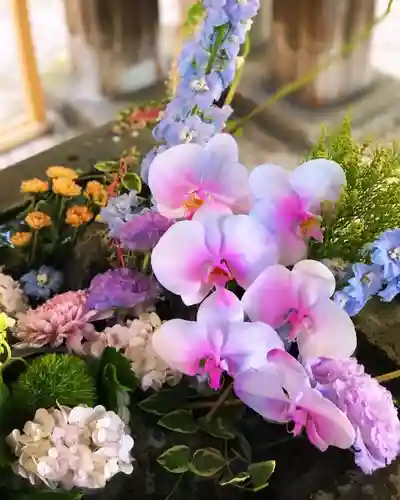 札幌護國神社の手水舎