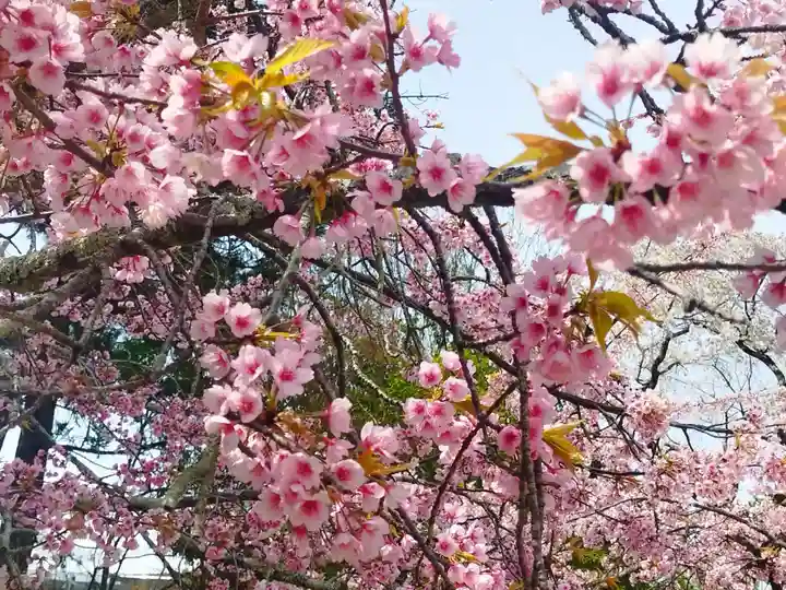 三宝院(三宝院門跡)(京都府)