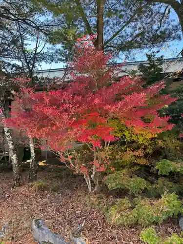 赤城神社(群馬県)