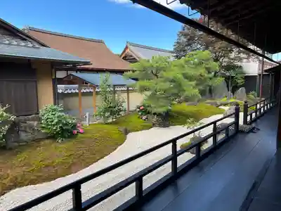 黄梅院(京都府)