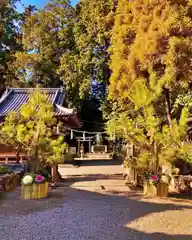 立志神社(滋賀県)