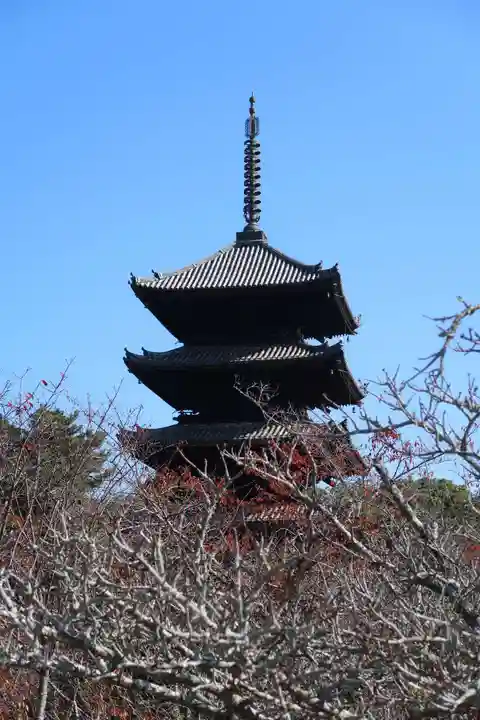 仁和寺(京都府)