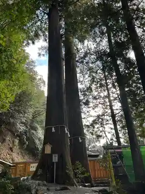 丹生川上神社（中社）(奈良県)